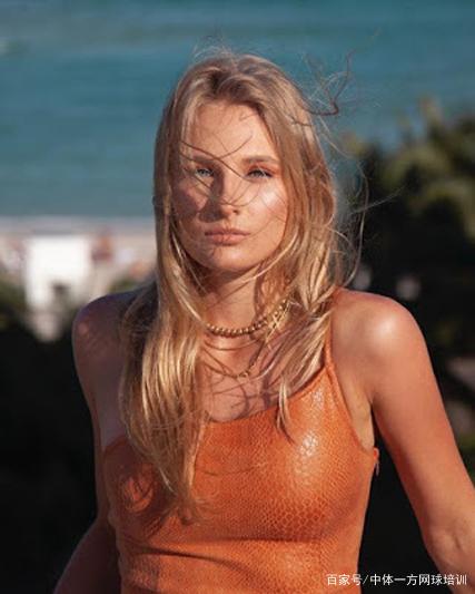 此前引进的 此前引进的