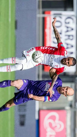 结论指向 结论指向